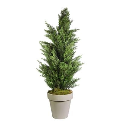 Yapay Limon Servi Çam Ağacı 135 cm