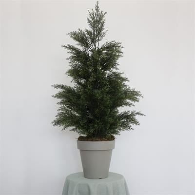 Yapay Limon Servi Çam Ağacı 135 cm