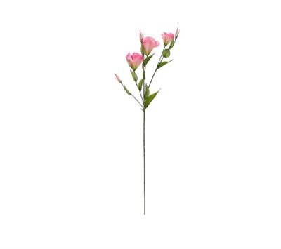 Yapay Lisyantus Dal Pembe