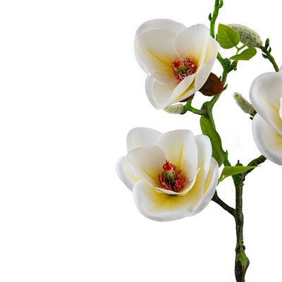 Yapay Manolya Dalı 52 cm Beyaz