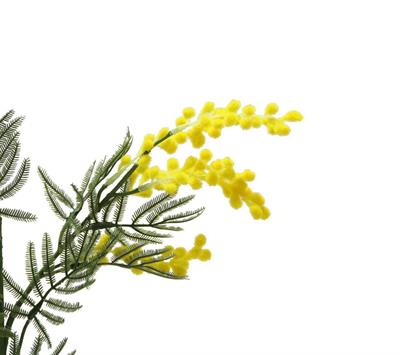 Yapay Mimoza Dal Sarı 86 cm