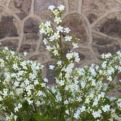 Yapay Mine Dal Çiçekli Beyaz 85 cm