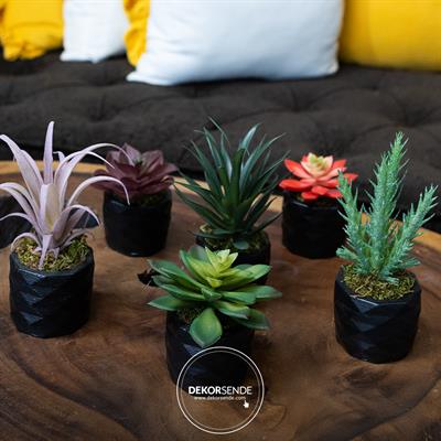 Yapay Mini Echeveria Sukulent Kırmızı 8 cm Saksılı