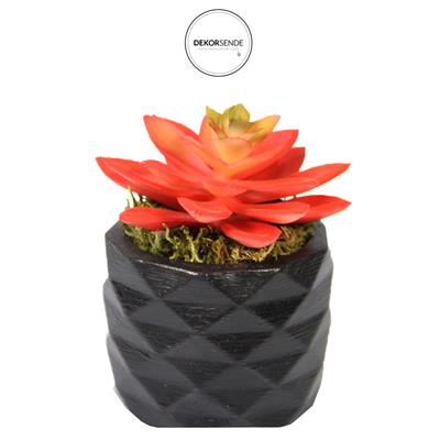 Yapay Mini Echeveria Sukulent Kırmızı 8 cm Saksılı