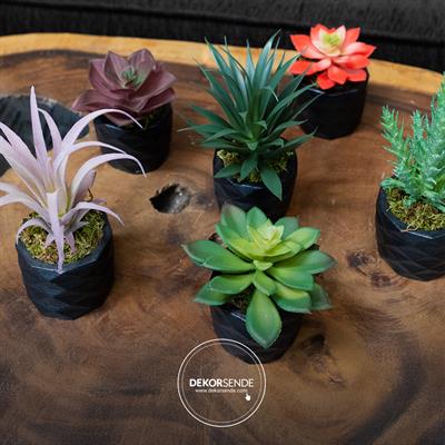 Yapay Mini Echeveria Sukulent Kırmızı 8 cm Saksılı