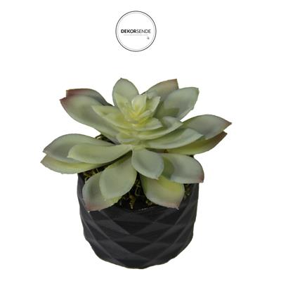 Yapay Mini Etli Echeveria Sukulent Açık Yeşil 12 cm Saksılı