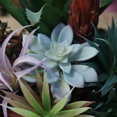 Yapay Mini Etli Echeveria Sukulent Açık Yeşil 12 cm