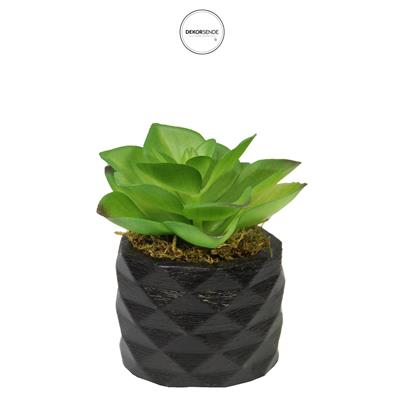 Yapay Mini Etli Echeveria Sukulent Açık Yeşil 8 cm Saksılı