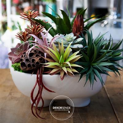 Yapay Mini Etli Echeveria Sukulent Açık Yeşil 12 cm Saksılı