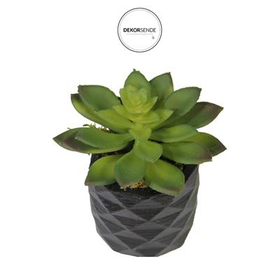 Yapay Mini Etli Echeveria Sukulent Yeşil 12 cm Saksılı