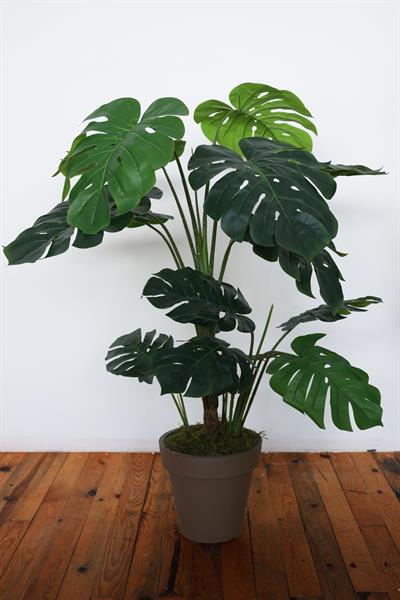 Yapay Monstera Ağacı 155 cm