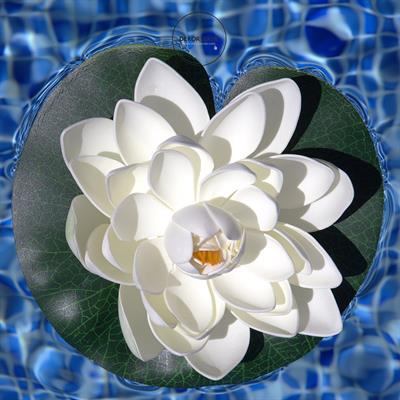 Yapay Nilüfer Çiçeği Krem