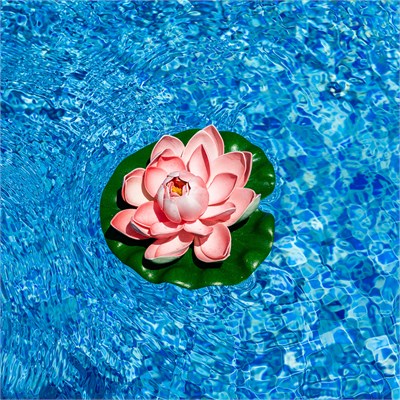 Yapay Nilüfer Pembe 18 cm