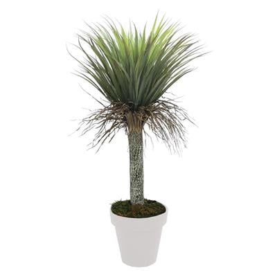 Yapay Nolina Ağacı 115 cm - Yapay Egzotik Ağaçlar