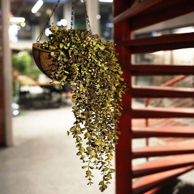 Yapay Okaliptüs Sarkıt Yeşil 95 cm