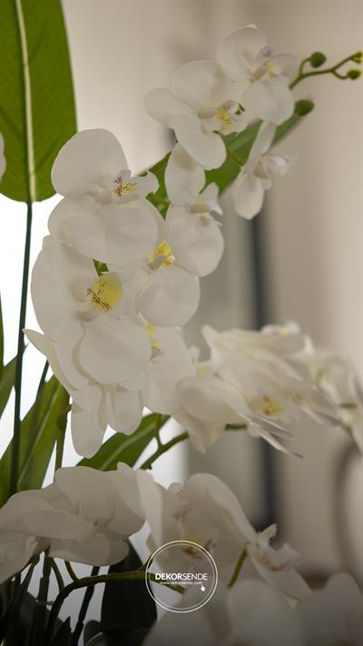 Yapay Orkide Dalı Benekli Beyaz 100 cm