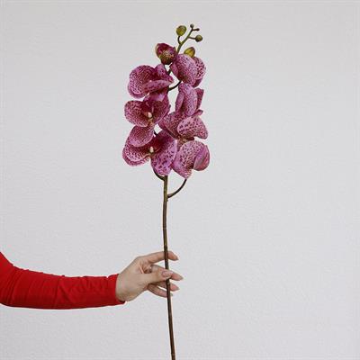 Yapay Orkide Dalı Gerçek Dokunuş Mor Benekli Jumbo