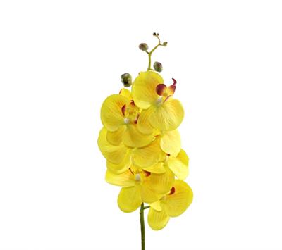 Yapay Orkide Dalı Sarı 90 cm