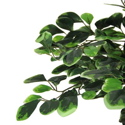 Yapay Paçira Ağacı Alacalı 170 cm