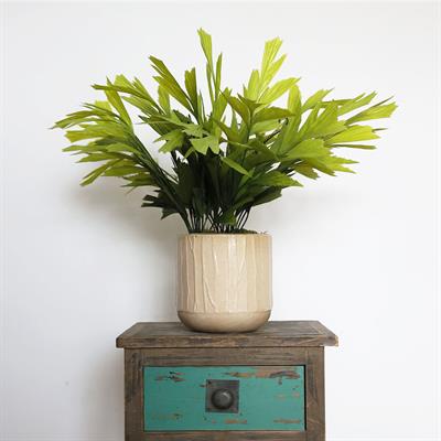 Yapay Paçira Demeti 55 cm