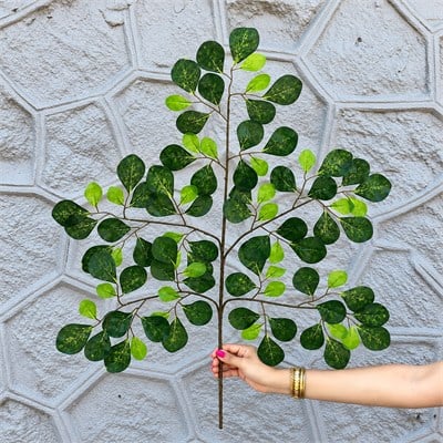 Yapay Paçira Yaprak 5 Dal Mat Yeşil 65 cm