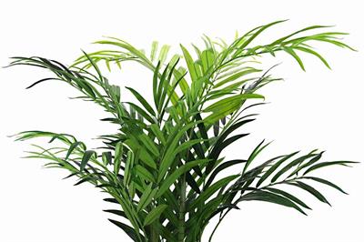 Yapay Palmiye Ağacı Saksısız 220 cm