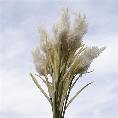 Yapay Pampas Dalı Beyaz 90 cm