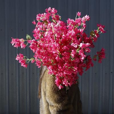 Yapay Pembe Begonvil Dal 118 cm