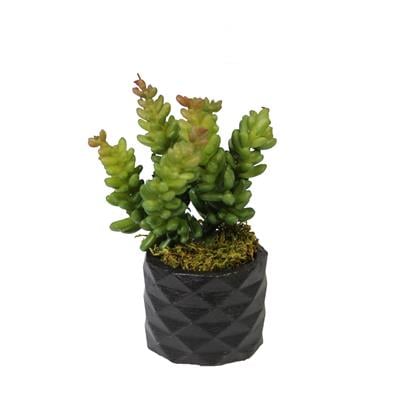 Yapay Pıtırcık Sukulent Dal Yeşil Kırmızı 16 cm Saksılı