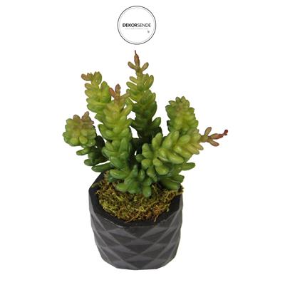 Yapay Pıtırcık Sukulent Dal Yeşil Kırmızı 16 cm Saksılı