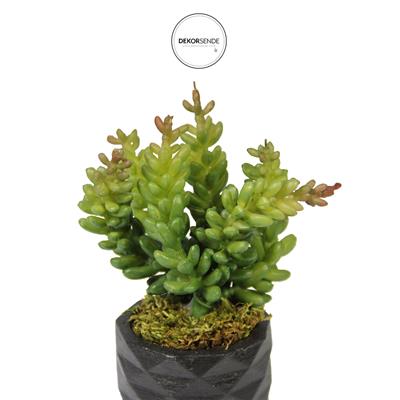 Yapay Pıtırcık Sukulent Dal Yeşil Kırmızı 16 cm Saksılı