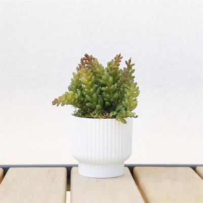 Yapay Pıtırcık Sukulent Dalı Yeşil Kırmızı 16 cm