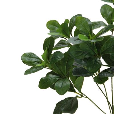 Yapay Polyscias Demeti 40 cm