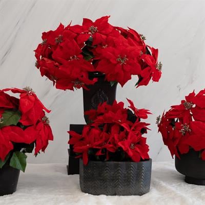 Yapay Ponsetya Demeti 35 cm