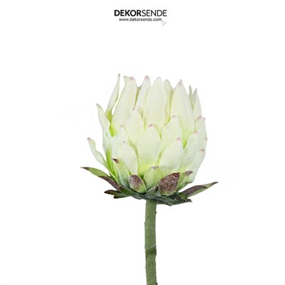 Yapay Protea Dal Beyaz 62 cm