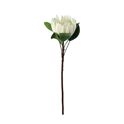 Yapay Protea Dal Beyaz 70 cm