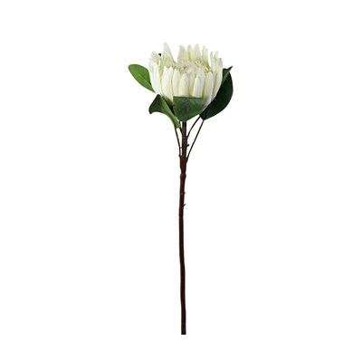 Yapay Protea Dal Beyaz 70 cm