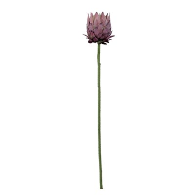 Yapay Protea Dal Lila 62 cm