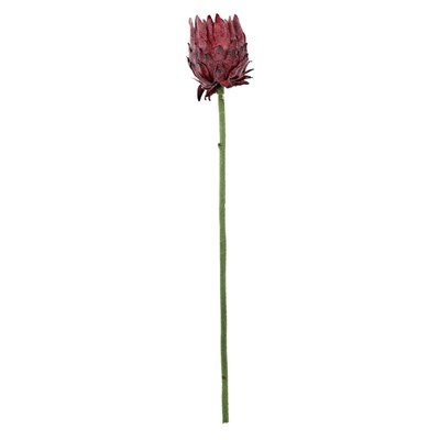 Yapay Protea Dal Pembe 62 cm