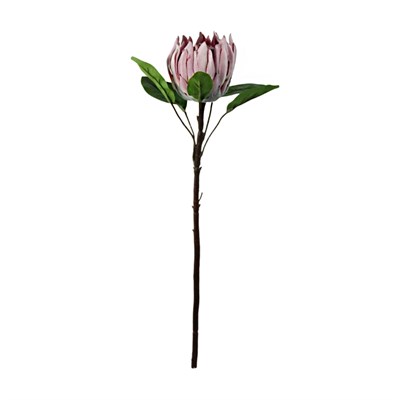 Yapay Protea Dal Pembe 70 cm