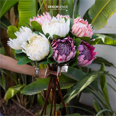 Yapay Protea Dal Pembe 70 cm