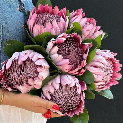 Yapay Protea Dal Pembe 70 cm
