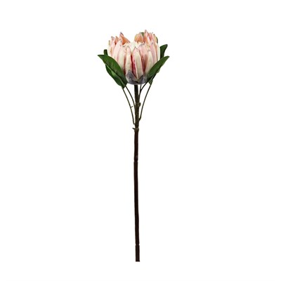 Yapay Protea Dal Pudra 70 cm