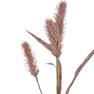 Yapay Saz Dal Kahverengi 68 cm
