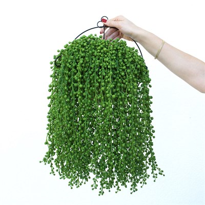 Yapay Sedum Sarkıt Yeşil