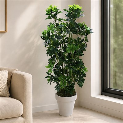 Yapay Şeflera Ağaç 150 cm
