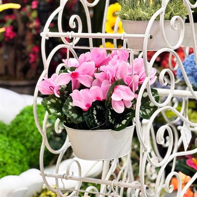 Yapay Sıklamen Çiçeği Pembe 32 cm