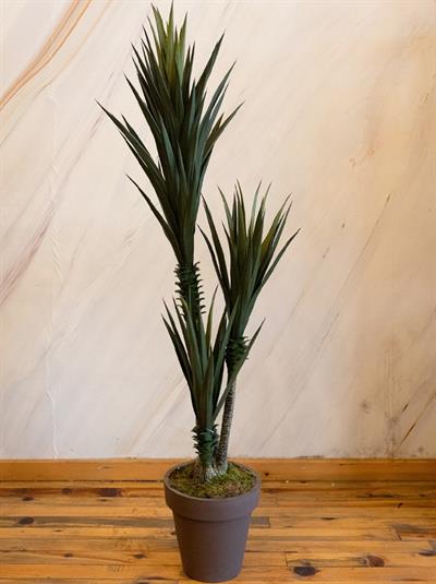 Yapay Sisal Ağacı 170 cm