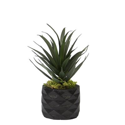 Yapay Sivri İnce Sukulent Koyu Yeşil 15 cm Saksılı