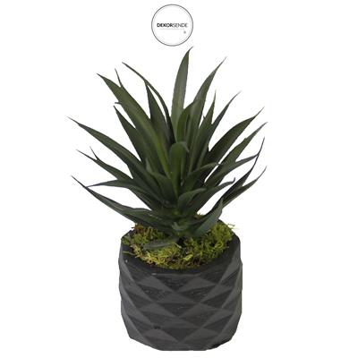 Yapay Sivri İnce Sukulent Koyu Yeşil 15 cm Saksılı